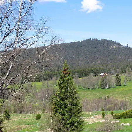 Daire Na Bucinske Kvilda